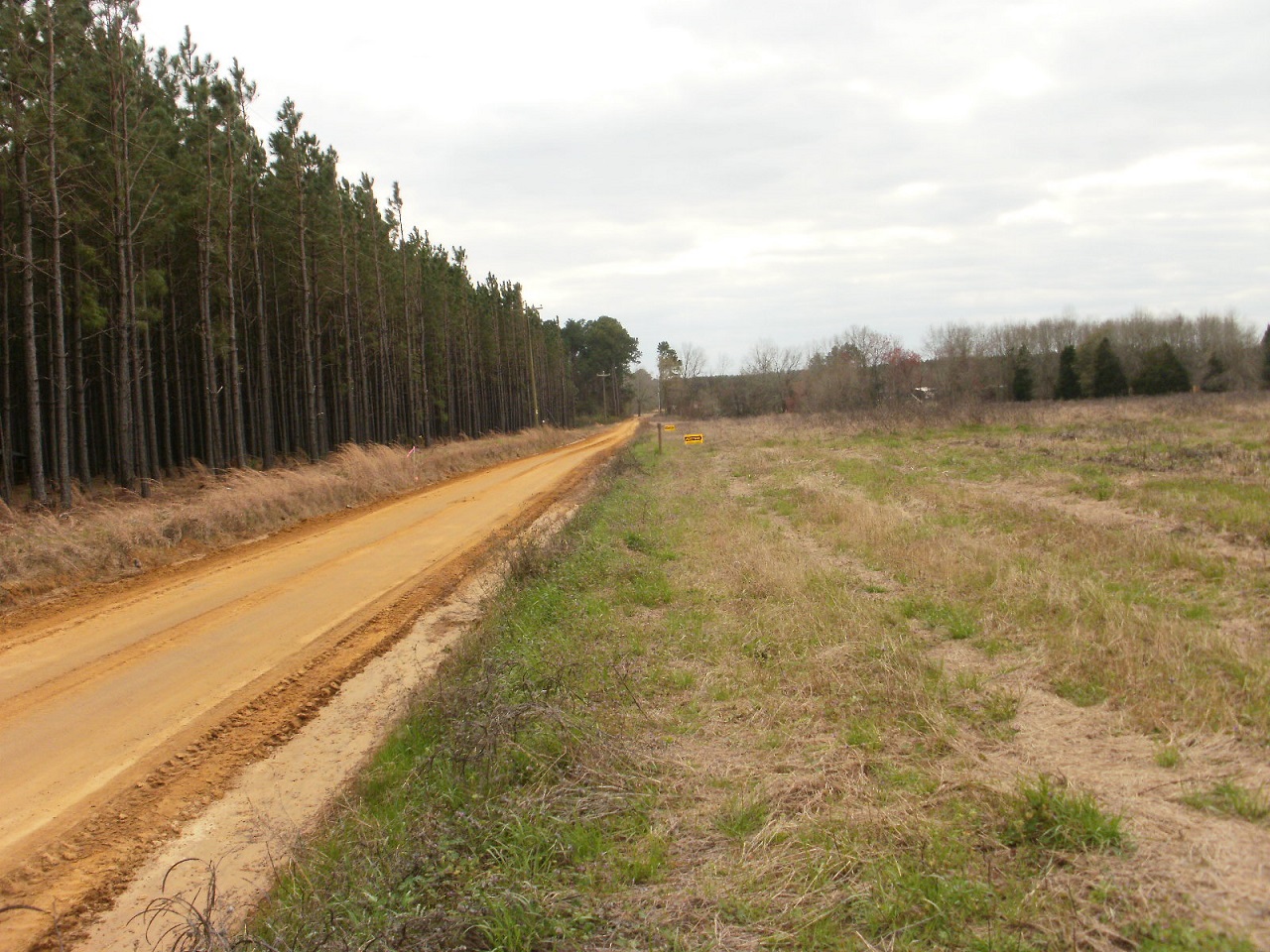 50 ACRES, TOOMBS COUNTY